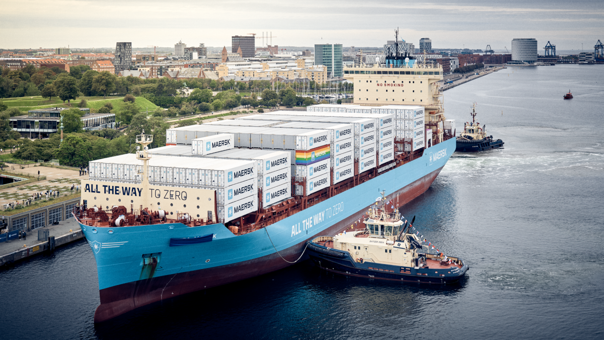 Container ship market sees ‘skyrocketing’ newbuild activity شركة التطوير لادارة السفن وتشغيلها